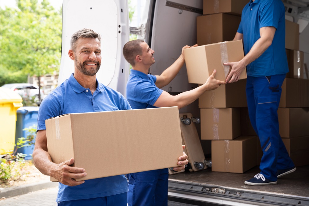 Why Choosing Experienced Movers Is Essential For A Stress-Free Transition